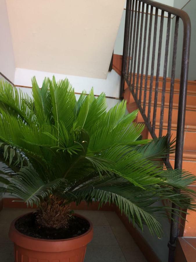 Casa Giuliano Appartement Pincara Buitenkant foto